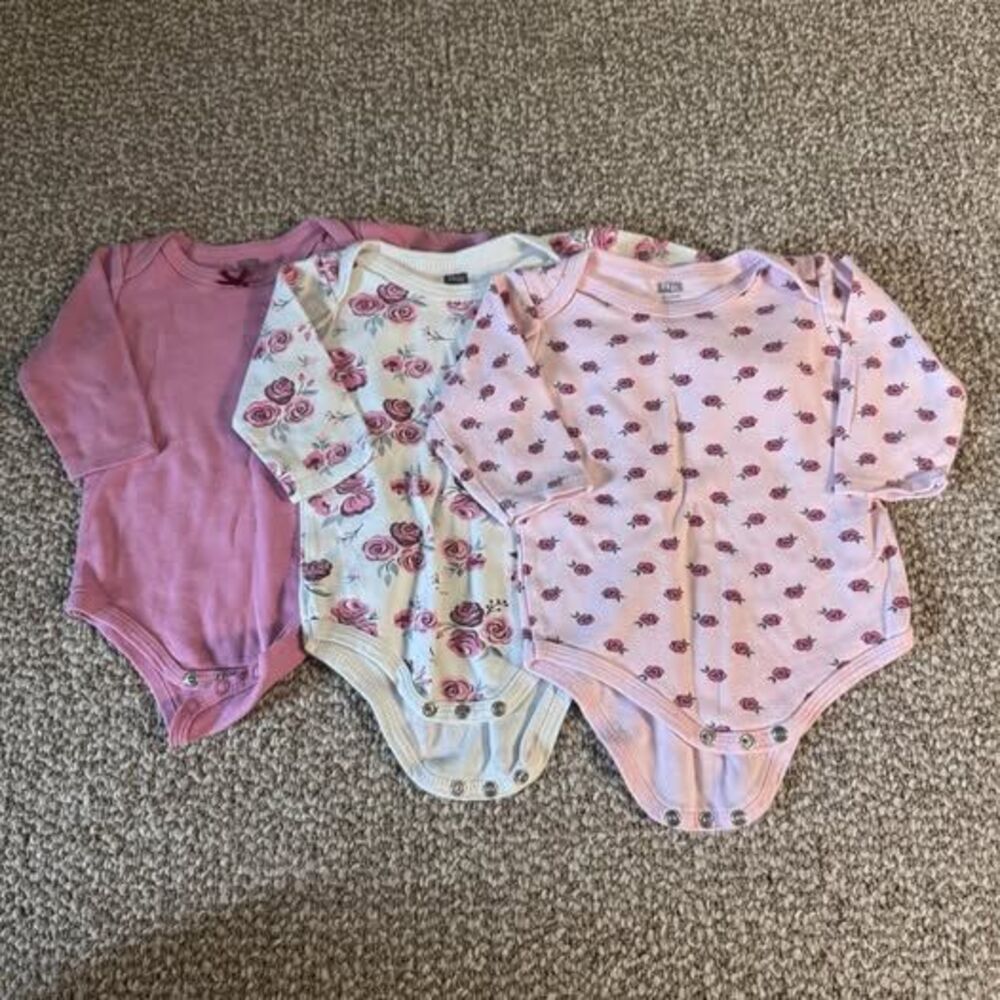Baby Girl Long Sleeve Onesie Lot 3pc Floral Rose Pink 9-12 Months Hudson Baby